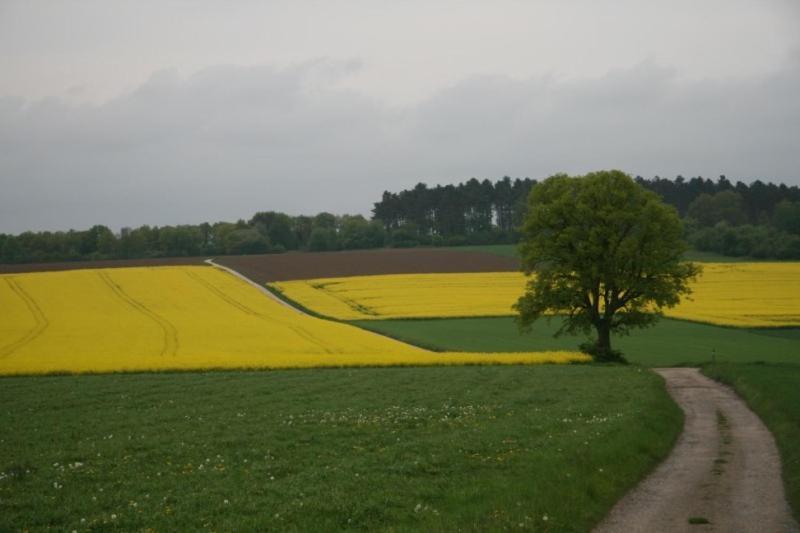 La Place Verte Frühstückspension 3*